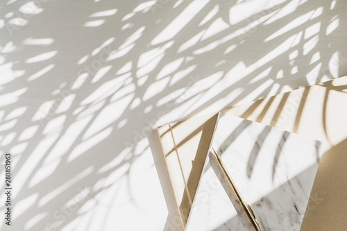 Home office workspace background with notebook on white background with plant...