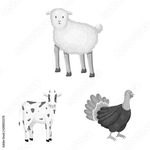 Vector illustration of homestead and agriculture symbol. Set of homestead and kitchen stock vector illustration.