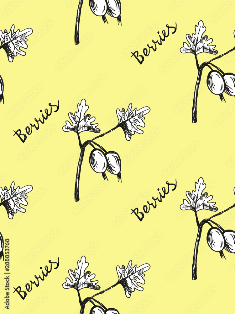 Obraz premium Hand drawn with pen gooseberry set frame pattern. Summer autumn berries. Beautiful graphic illustration