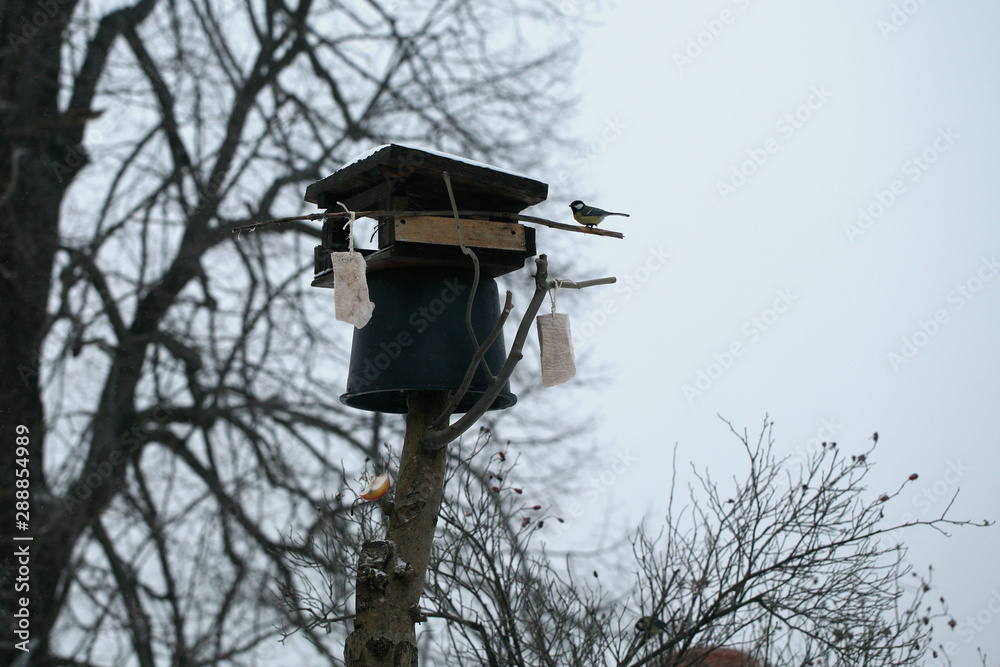 Bird feeder with bucket. Patent protecting birds against cats. Winter help for animals, feeding birds. Bird feeder with bucket. Patent protecting birds against cats. Winter help for animals, feeding birds.