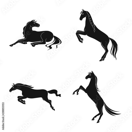 Vector design of fauna and mare icon. Set of fauna and stallion stock vector illustration.
