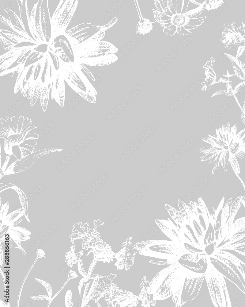 Vector graphic drawing of wild flowers, card with space for text.