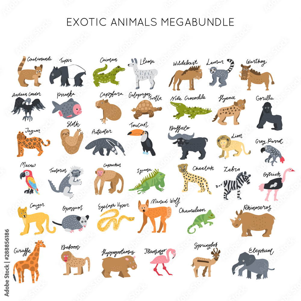 Obraz premium Animals clipart bundle vector