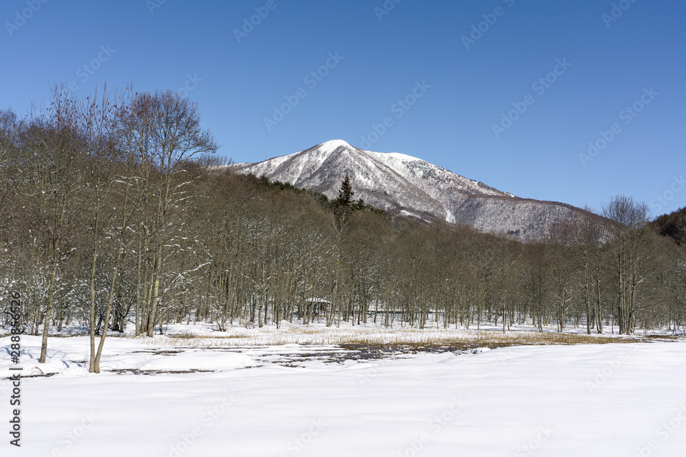 冬の大谷地湿原