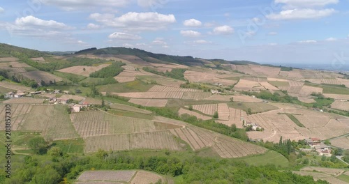 Long aerial approach, Beaujolais vineyard over Chiroubles, Rhone, France