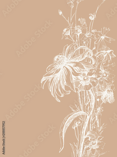 Vector graphic drawing: Flowers drawn with ink pen.