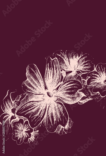 Vector graphic drawing: Flowers drawn with ink pen.