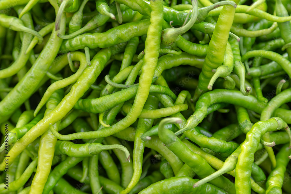 Green hot pepper pods closeup background with lots of peppers. Green hot pepper pods closeup background with lots of peppers.