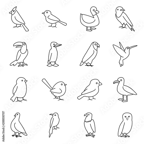 Vector design of animal and wild sign. Collection of animal and plumage vector icon for stock.