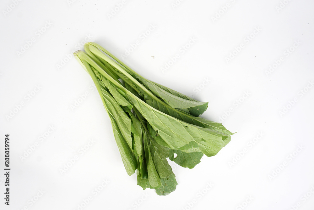 fresh celery isolated on white background fresh celery isolated on white background