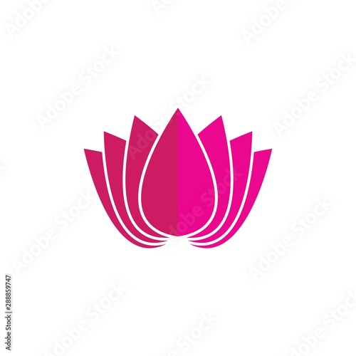 Beauty Vector Lotus flowers