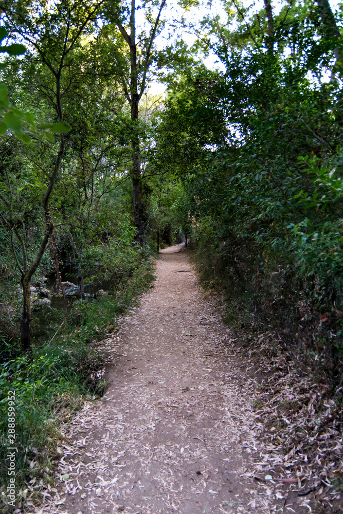 Landscape of a road in summer