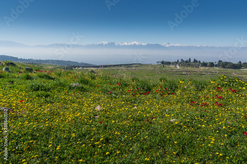 Quadro su tela Beauitful landscape of Hierapolis  in Pamukkale Turkey.