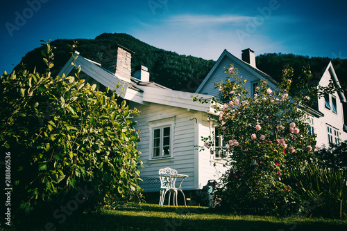 Traditional white wooden scandinavian norwegian house, Norway, flowering summer photo