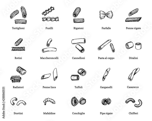 Vector illustration of short pastas. Set of drawn macaroni on dark background.