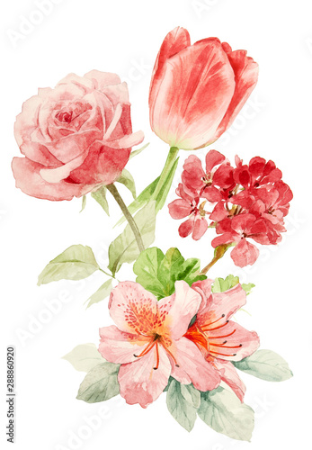 Color illustration of flowers in watercolor paintings
