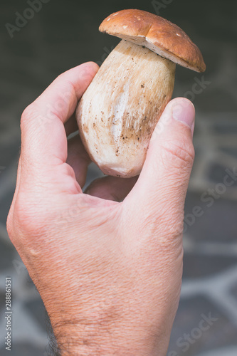 man holding boletus edulis mushroom freshly picked - raw food and healthy lifestyle