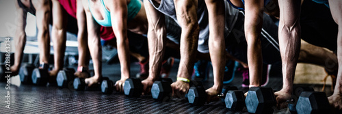 Slika na platnu People doing push ups with dumbbell in gym