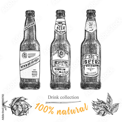 Set hand drawn sketch bottles of beer, hop, wheat Vintage design bar, restaurant, cafe menu on white background. Creative template for flyer, banner, poster Engraving style