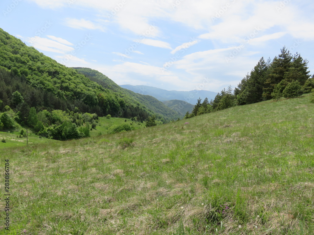 Mauntain Stolovi Serbia pasture on elevation with distant mauntain range