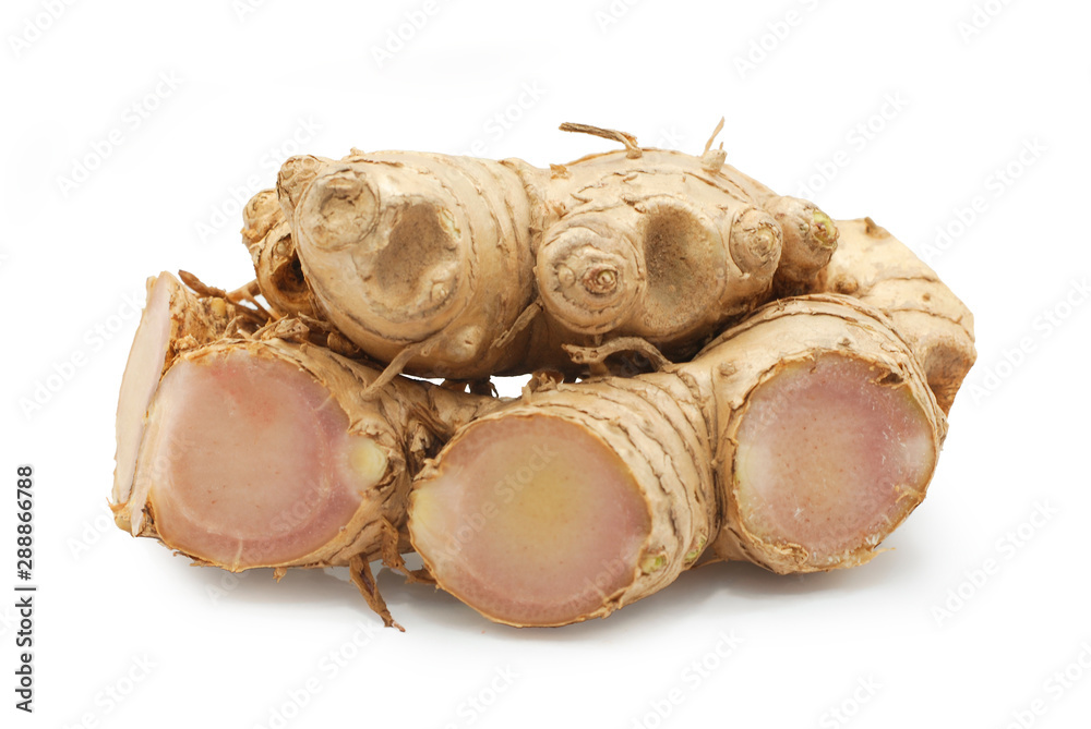Black ginger root isolated on white background Black ginger root isolated on white background