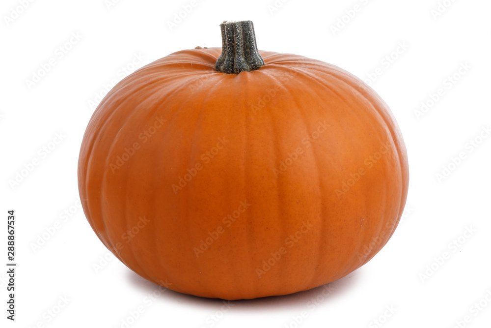 Pumpkin isolated on white Pumpkin isolated on white