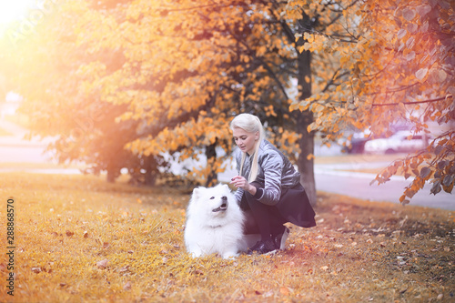 Wallpaper Mural Lovely girl on a walk with a beautiful dog Torontodigital.ca