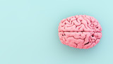 minimal pink brain on blue background