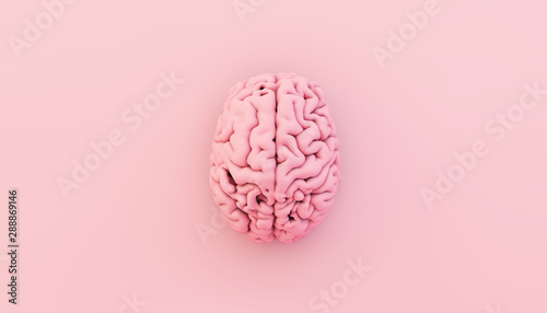 minimal pink brain