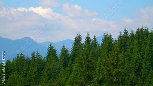 Wallpaper Mural Mountaine with forest. Nature timelapse Landscape with Beautiful blue sky with clouds Torontodigital.ca