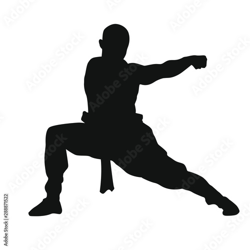 Martial Arts Silhouette