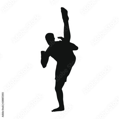 Martial Arts Silhouette