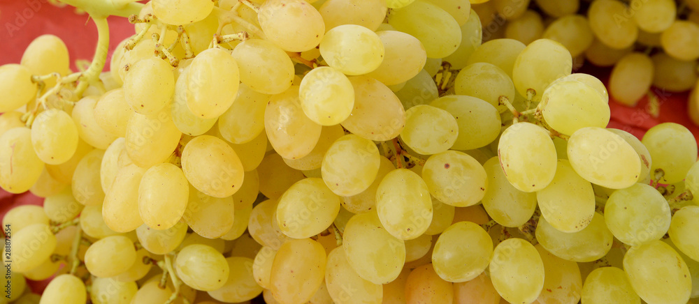 fresh and organic grapes at the market fresh and organic grapes at the market