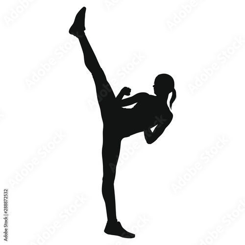 Martial Arts Silhouette