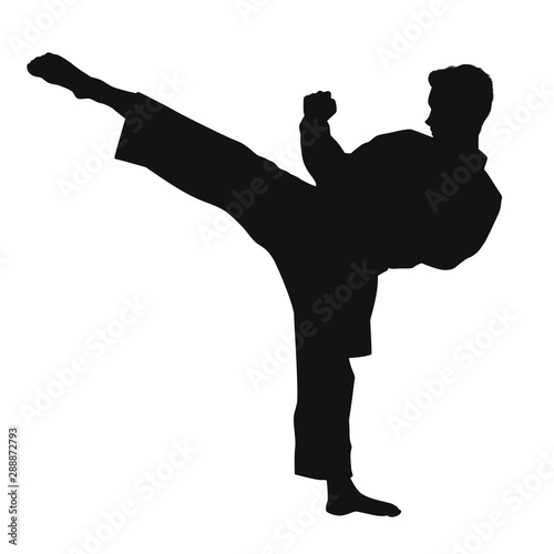 Martial Arts Silhouette