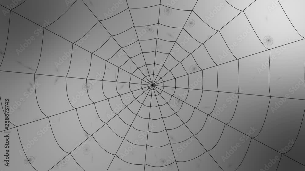 explosion of pieces of a concentric web on a gray background, scatter in different directions explosion of pieces of a concentric web on a gray background, scatter in different directions