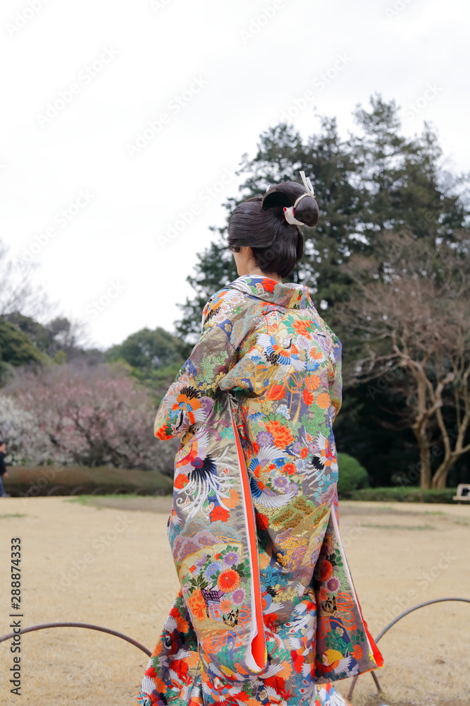 日本の着物、色打掛け
