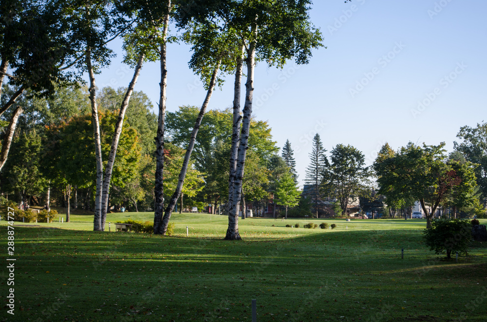 Fototapeta premium 公園の風景
