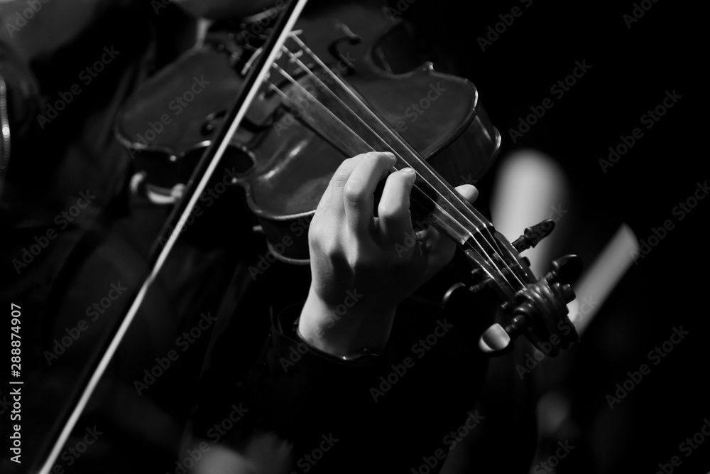 Fototapeta premium Musician's hand on violin strings in black and white