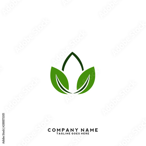 Creative green leaf logo template