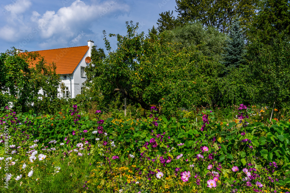 Flower garden in the Indian summer at the roadside with apple tree
