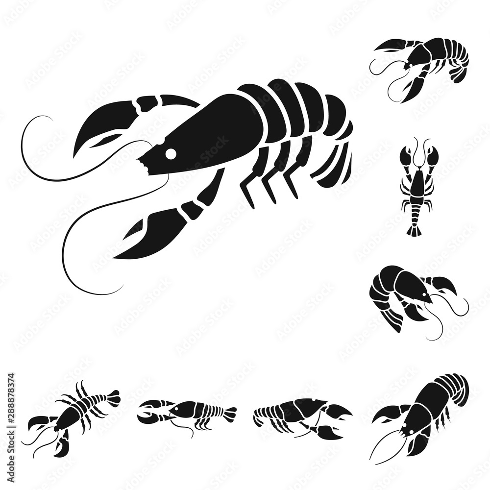 Isolated object of meat and delicacy icon. Collection of meat and crab stock symbol for web. Isolated object of meat and delicacy icon. Collection of meat and crab stock symbol for web.