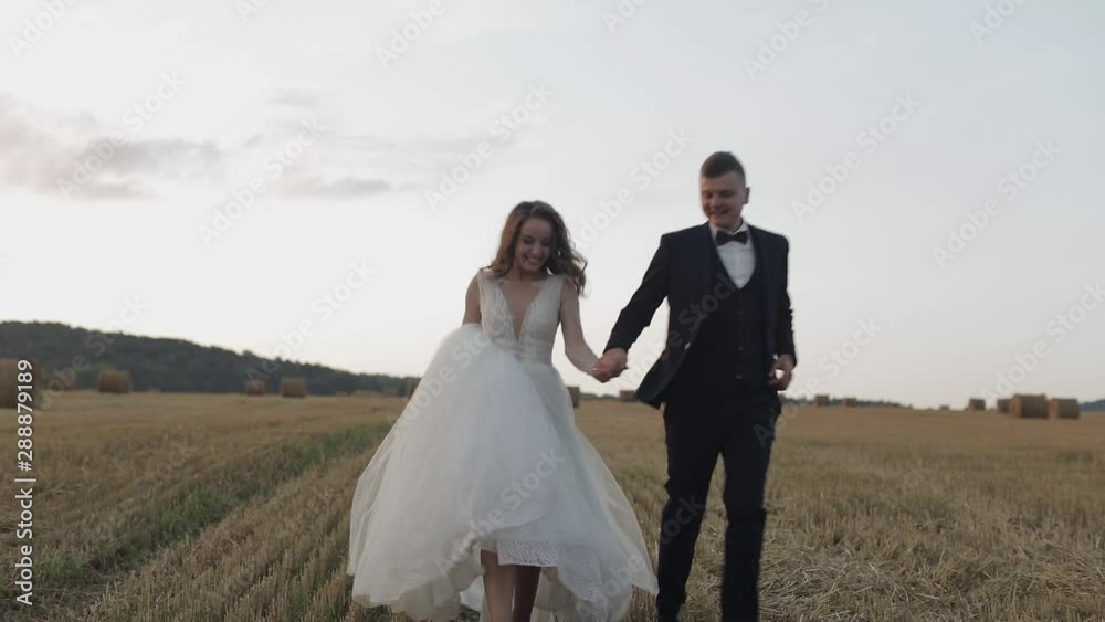 Groom with bride walking through the field. Wedding couple. Happy newlyweds Groom with bride walking through the field. Wedding couple. Happy newlyweds