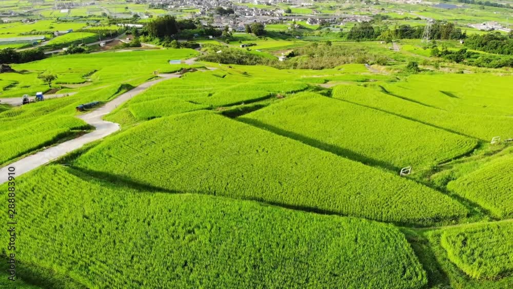 姨捨の棚田(ドローン空撮) 姨捨の棚田(ドローン空撮)