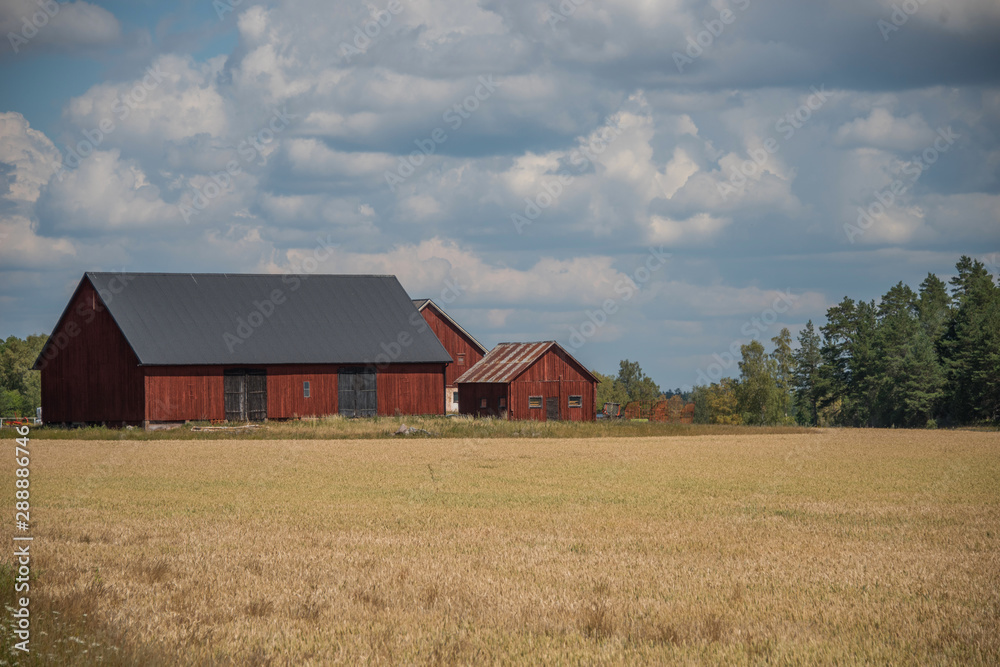 Autumn landscape with barns in the Stockholm area Autumn landscape with barns in the Stockholm area