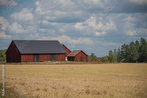 Autumn landscape with barns in the Stockholm area