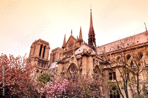 Notre Dame de Paris cathedral, France. Gothic architecture