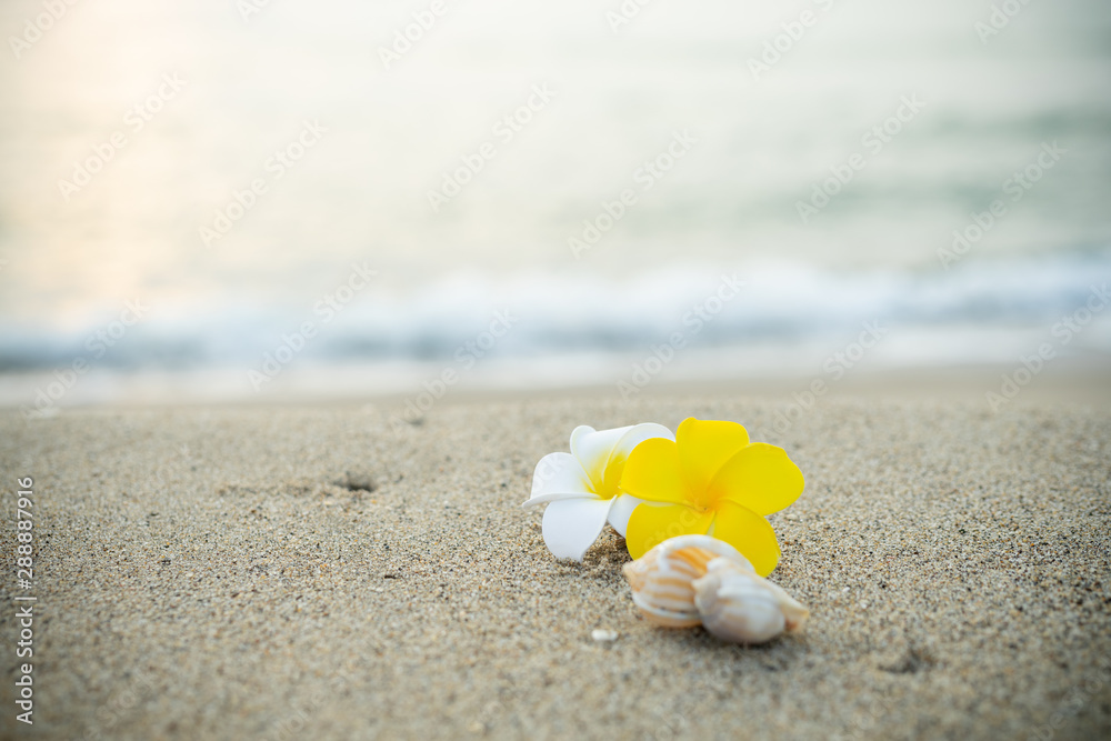 砂浜とプルメリアの花 砂浜とプルメリアの花