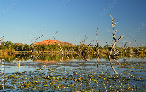 Mountain rock sits in background of calm and still waters of lake with tree reflections on a sunny day. photo