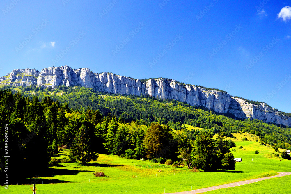 Obraz premium Beautiful rocky mountains of the french Alps, with forest and a field, in summer. This place is near the village 